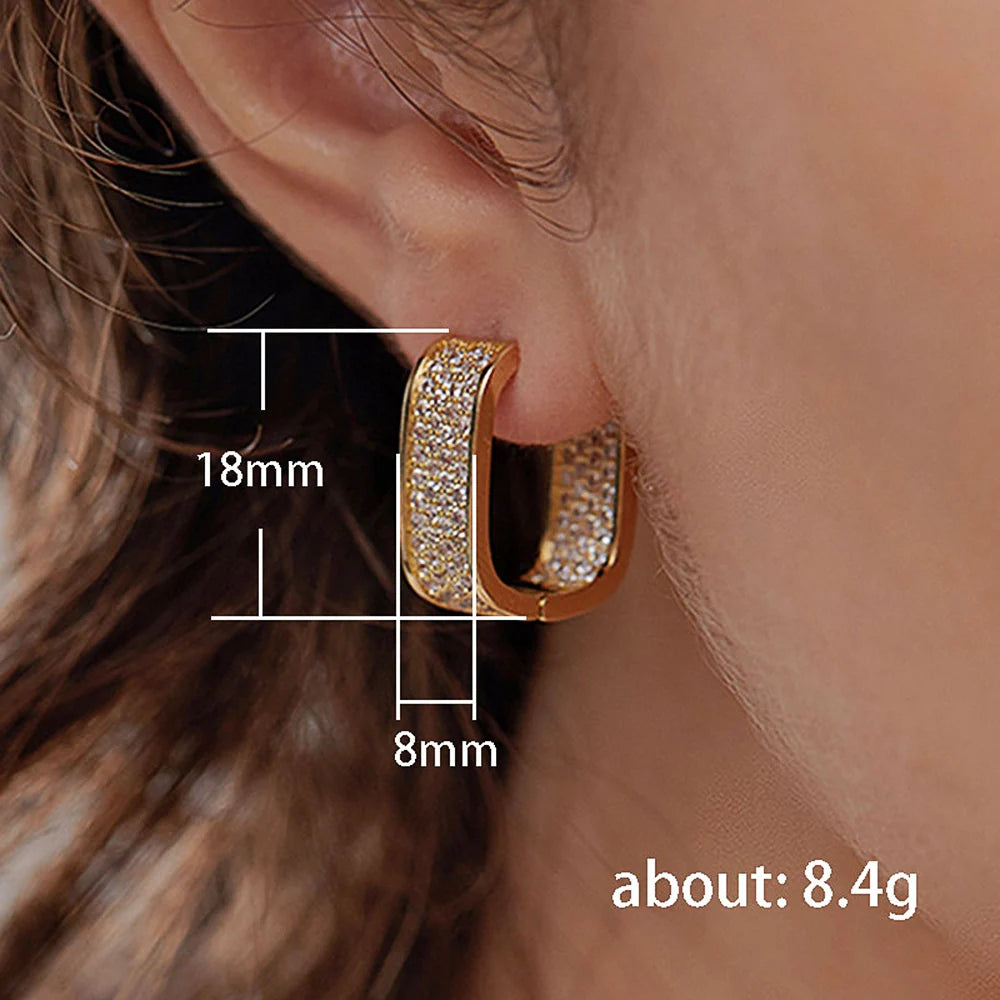 Hoop Earrings with Zirconias